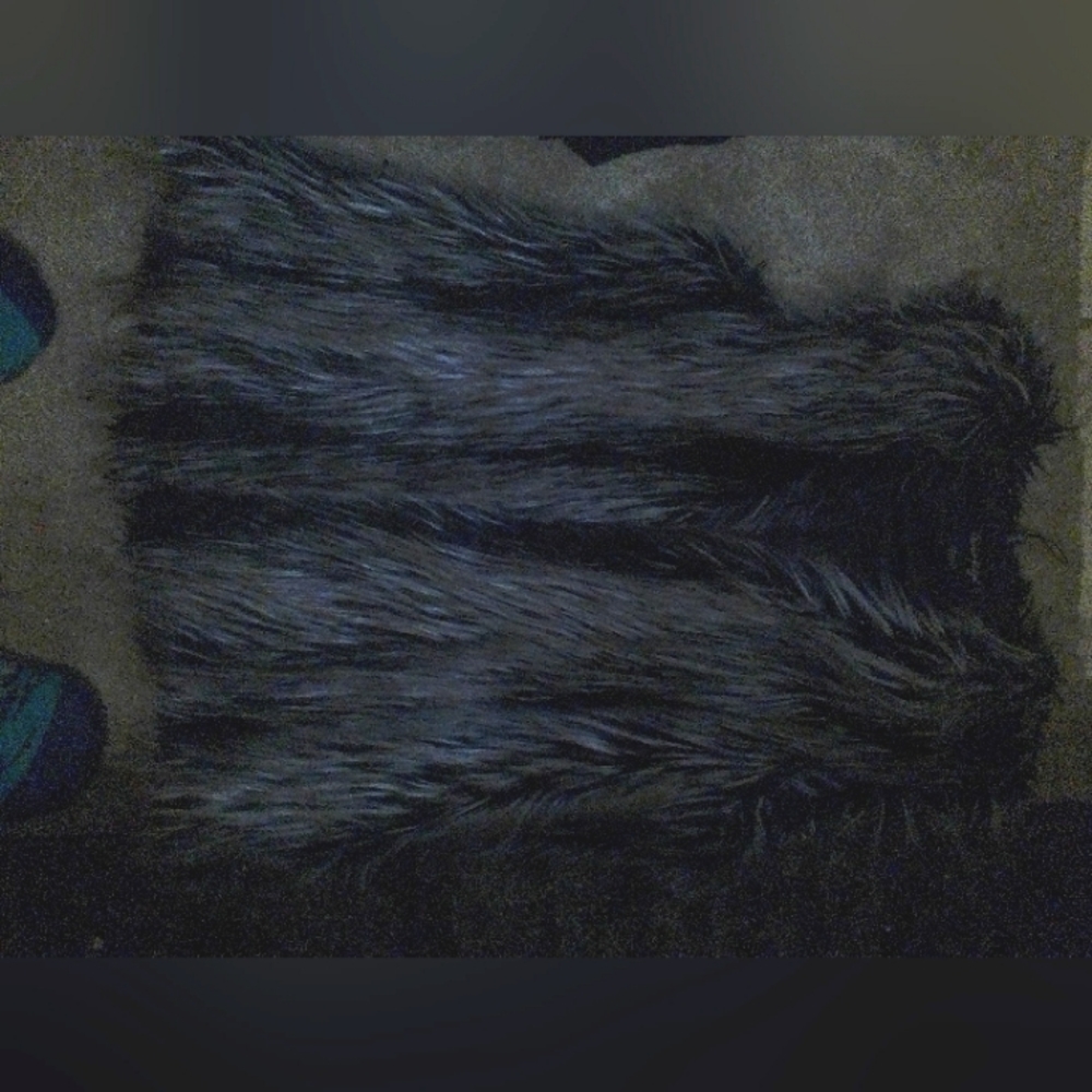 Faux(or not?) Fur vest